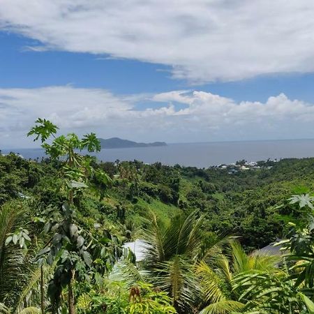 Appartamento Escale Caraibes Trois-Rivières Esterno foto